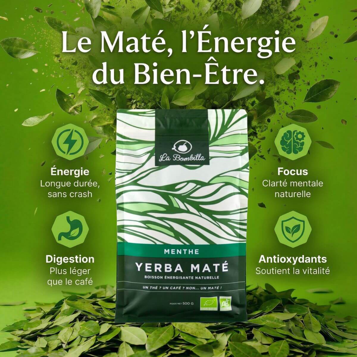 Maté Menthe Bio Gift