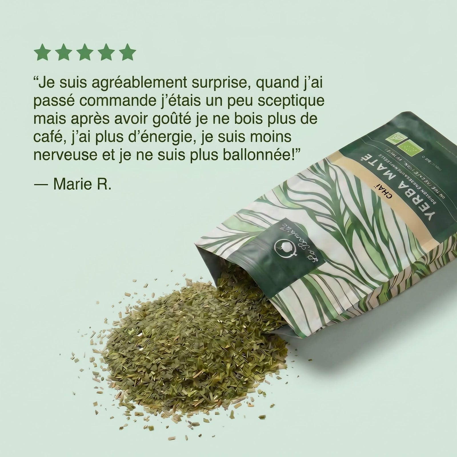 Maté Chaï Bio