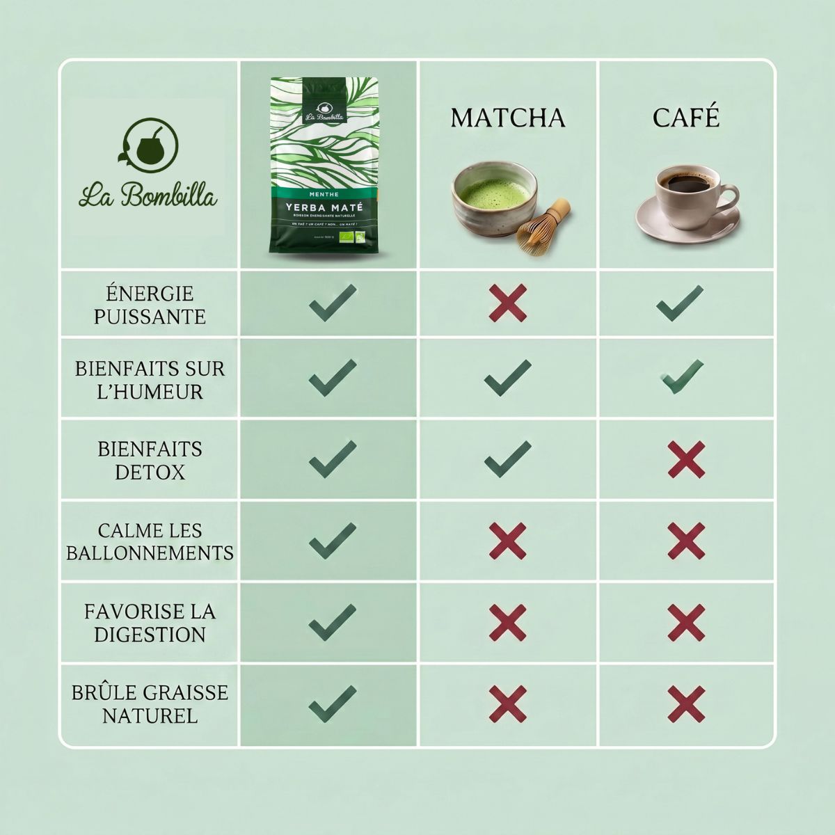 Maté Menthe Bio