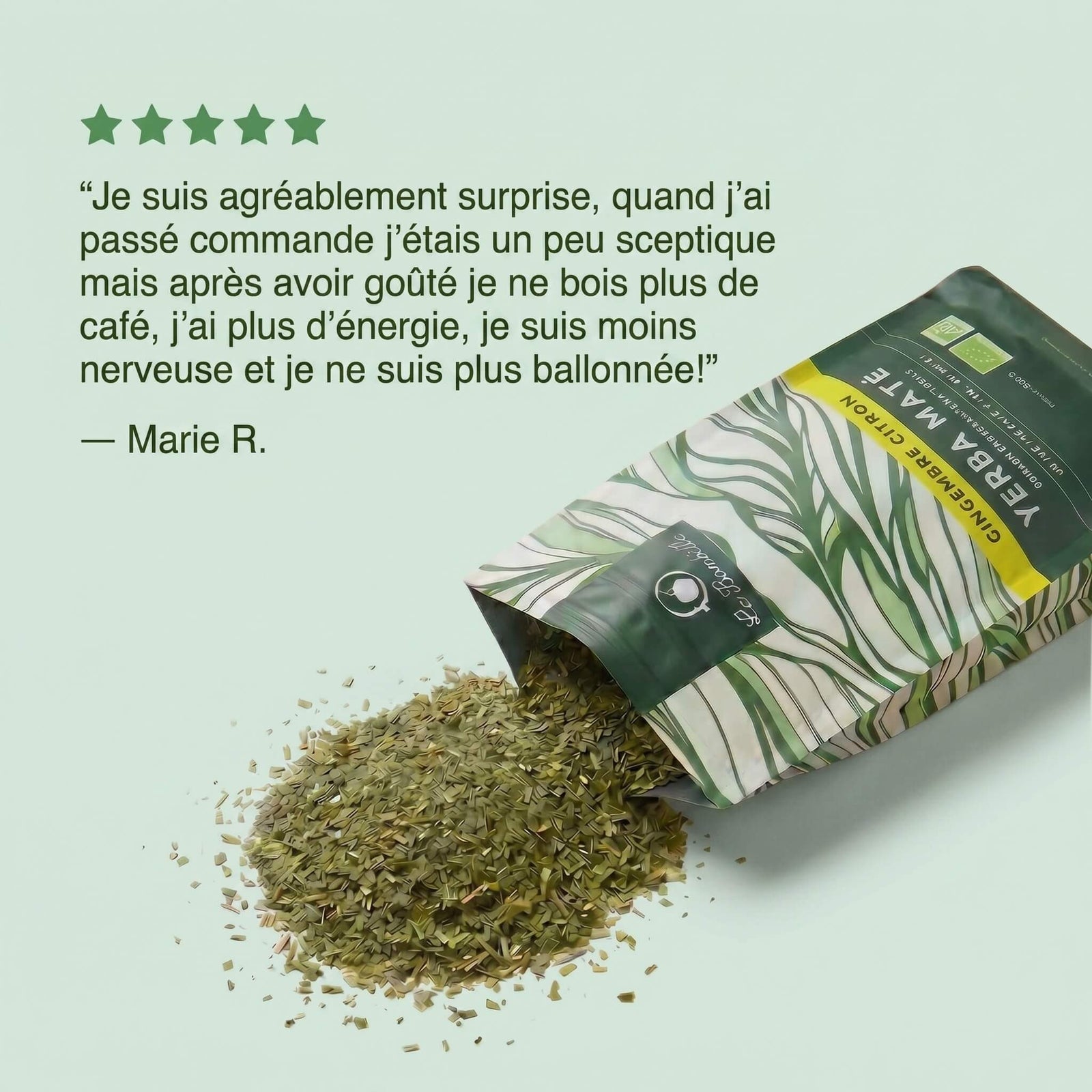 Maté Gingembre-Citron Bio